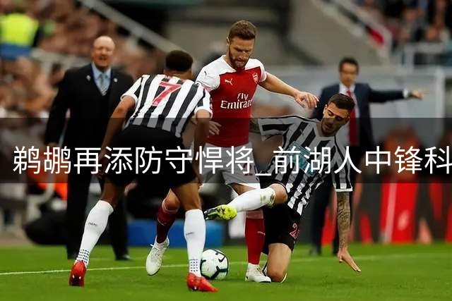 鹈鹕再添防守悍将 前湖人中锋科洛科签一年短约